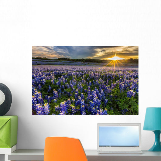Texas Bluebonnet Field Sunset Lens Flare Wall Decal