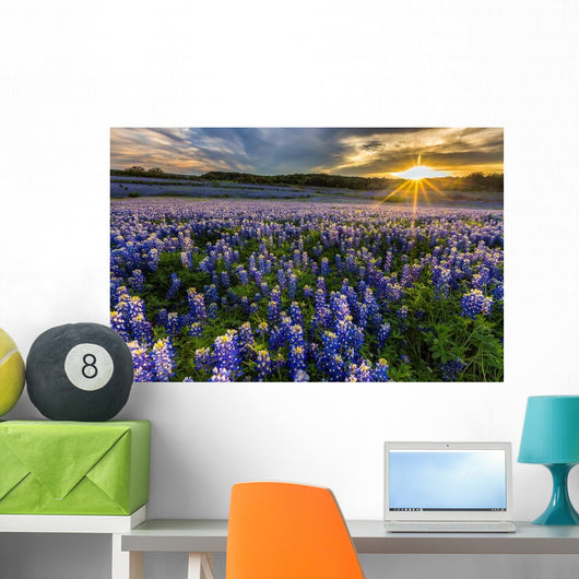 Texas Bluebonnet Field Sunset Lens Flare Wall Decal