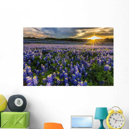 Texas Bluebonnet Field Sunset Lens Flare Wall Decal