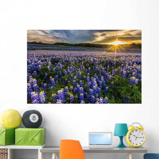 Texas Bluebonnet Field Sunset Lens Flare Wall Decal
