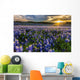 Texas Bluebonnet Field Sunset Lens Flare Wall Decal