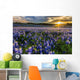 Texas Bluebonnet Field Sunset Lens Flare Wall Decal