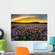 Texas Bluebonnet Field Sunset Wall Decal