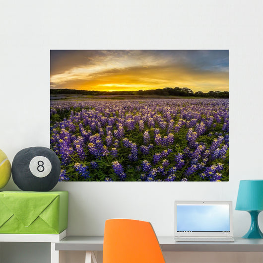 Texas Bluebonnet Field Sunset Wall Decal