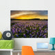 Texas Bluebonnet Field Sunset Wall Decal