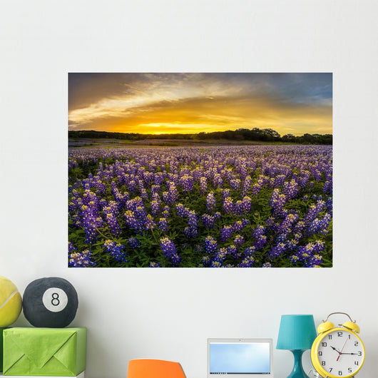 Texas Bluebonnet Field Sunset Wall Decal