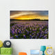 Texas Bluebonnet Field Sunset Wall Decal