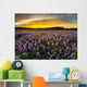 Texas Bluebonnet Field Sunset Wall Decal