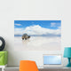 Car Reflected Surface Salar de Uyuni Wall Decal