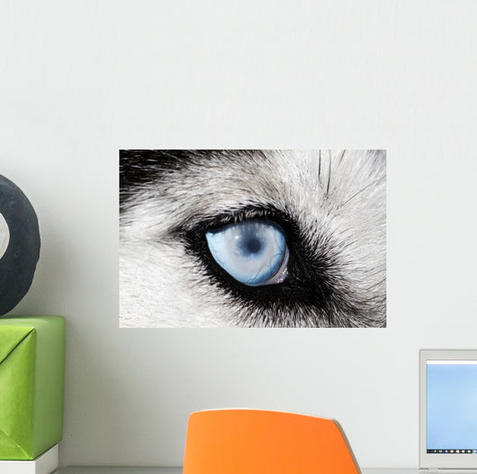 Husky Wall Decal