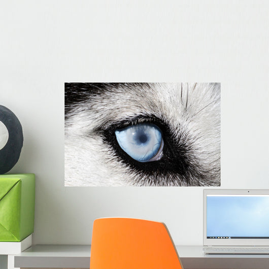 Husky Wall Decal