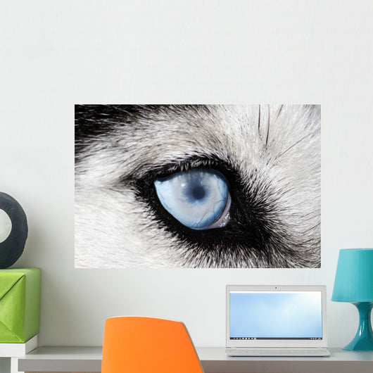 Husky Wall Decal