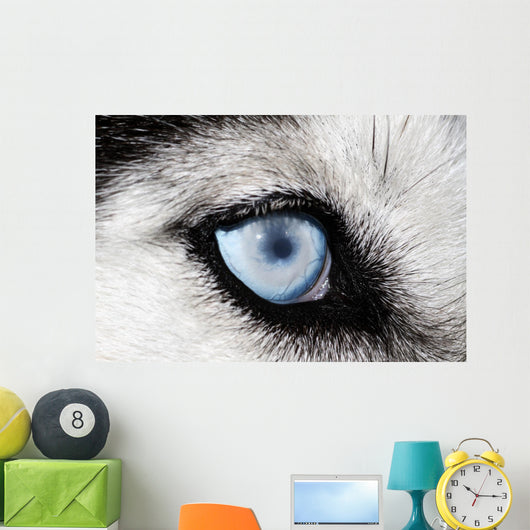 Husky Wall Decal