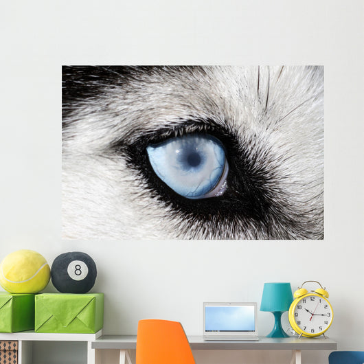 Husky Wall Decal
