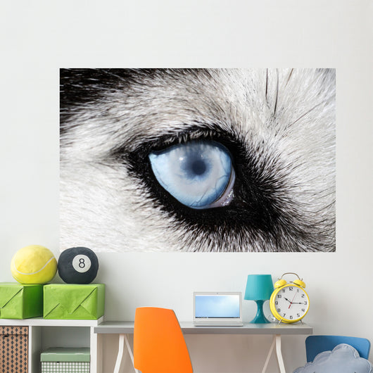 Husky Wall Decal