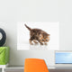 Little Fluffy Persian Kitten Wall Decal