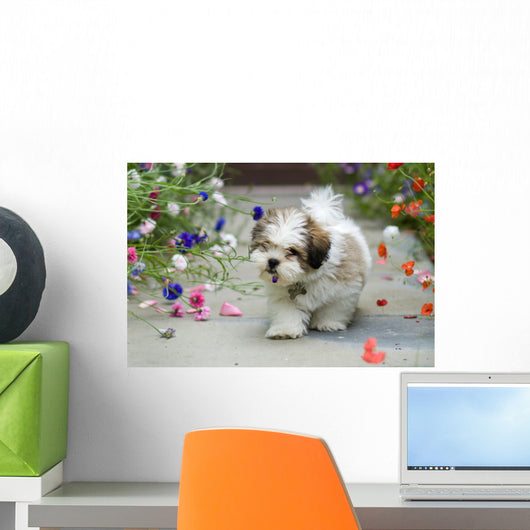 Lhasa Apso Puppy Wall Decal