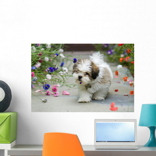 Lhasa Apso Puppy Wall Decal