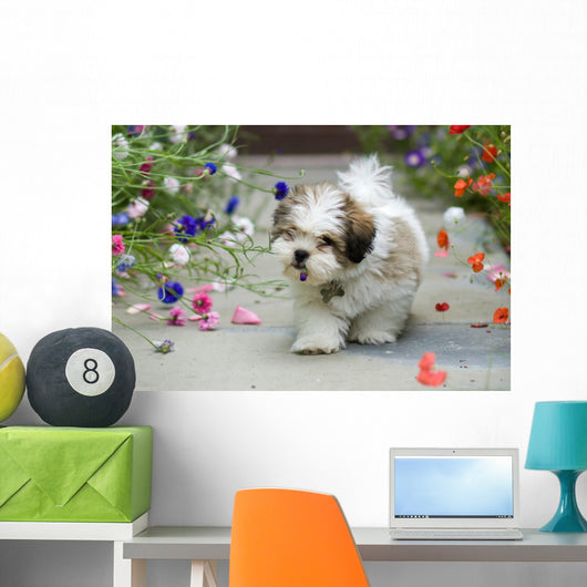Lhasa Apso Puppy Wall Decal
