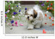 Lhasa Apso Puppy Wall Decal
