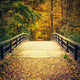 Bridge Autumn Forest Wall Decal