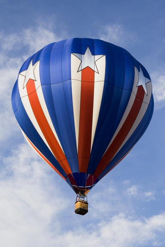 Hot Air Balloon Series Wall Decal