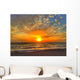 Splendida Alba Wall Decal