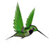 Black Hummingbird 3D Render Wall Decal