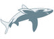 Shark Illustration Wall Decal
