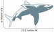 Shark Illustration Wall Decal