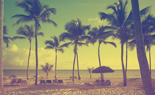 Art Beautiful Retro Seaside Wall Decal