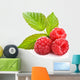 Bunch Red Raspberry White Wall Decal