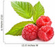 Bunch Red Raspberry White Wall Decal