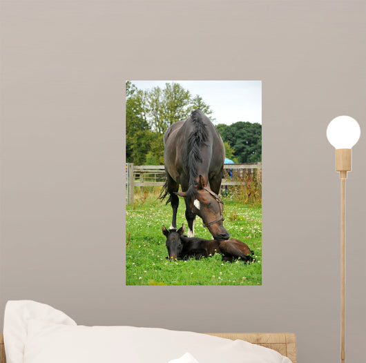 Horse and One Day Wall Decal