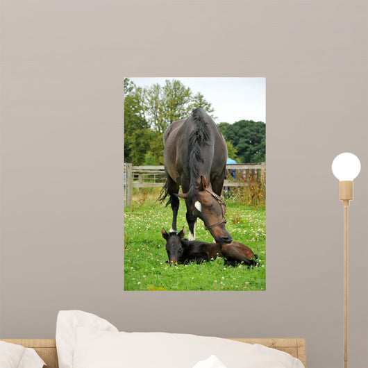 Horse and One Day Wall Decal