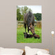 Horse and One Day Wall Decal