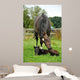 Horse and One Day Wall Decal