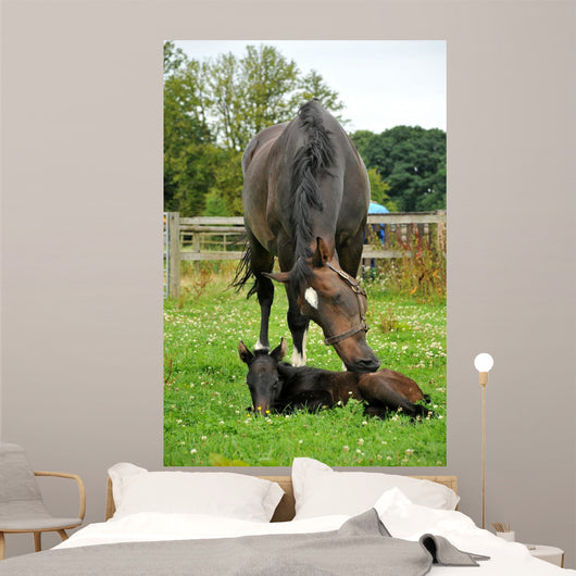 Horse and One Day Wall Decal