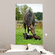 Horse and One Day Wall Decal