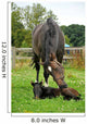 Horse and One Day Wall Decal