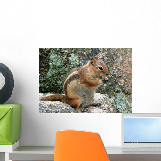 Chipmunk Wall Decal
