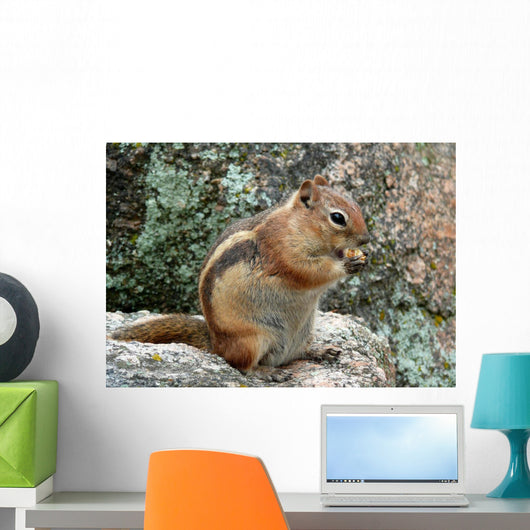 Chipmunk Wall Decal
