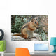 Chipmunk Wall Decal