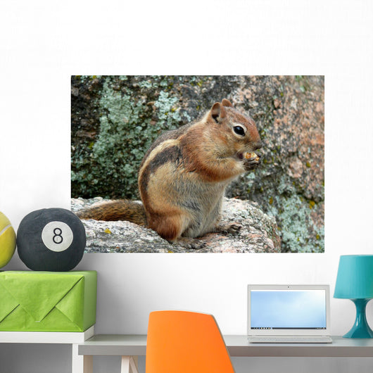 Chipmunk Wall Decal