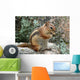 Chipmunk Wall Decal
