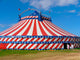 Circus Big Top Tent Wall Decal