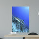 Reef Shark 2 Wall Decal