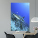 Reef Shark 2 Wall Decal