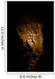 Leopard Portrait Bei Nacht Wall Decal