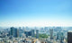 Japanese Skyline Wall Decal